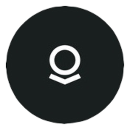 Palantir company logo